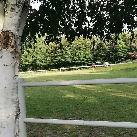 Tankefuld Living's Horsefarm