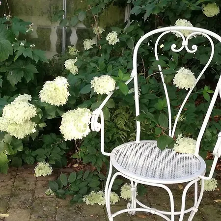 Tankefuld Living's Horsefarm Homestay *