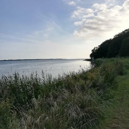 Homestay Tankefuld Living's Horsefarm *