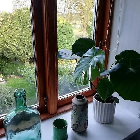 Homestay Tankefuld Living's Horsefarm